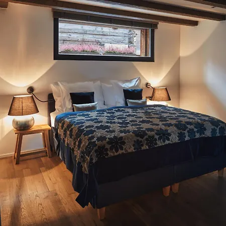 Schloss Zermatt - Cbd & Adaptogenic Spa And Sport Hotel Room photo